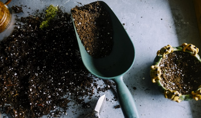 Best Personalized Outdoor & Garden Gifts Compared (2026)